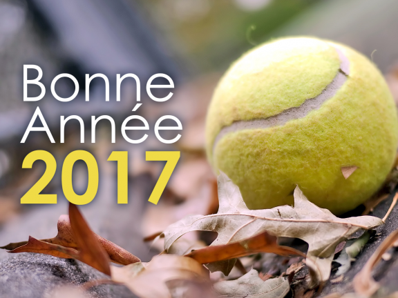 Bonne année 2017